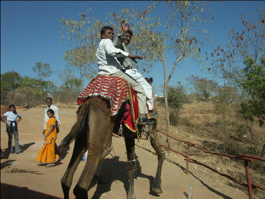 Pict1846 Camel Ride Shilpgram Udaipur