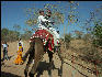 Pict1846 Camel Ride Shilpgram Udaipur