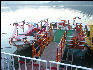 Pict1927 Wedding Boat Fateh Sagar Udaipur