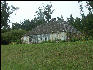 Pict6535 Governor's House Cinchona Gardens Blue Mountains Jamaica 