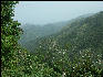 Pict6724 View From Guava Ridge Jamaica