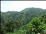 Pict6736 Mountain Side Houses Guava Ridge Jamaica