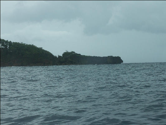 Pict8917 Crocodile Point Near Blue Lagoon Jamaica