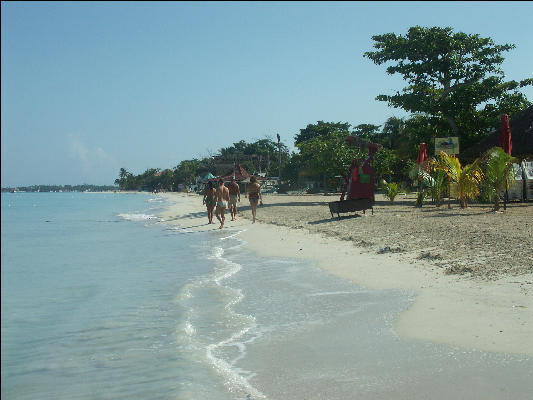 Pict8422 Beach Jimmy Buffets Margaritaville Jamaica