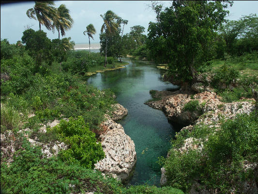 Pict6857 Guts River Jamaica