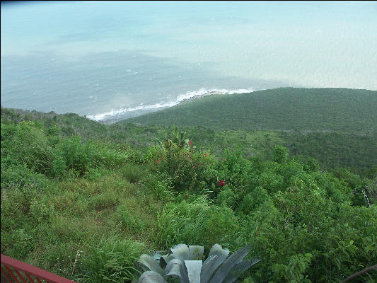 Pict6899 Lovers Leap Jamaica