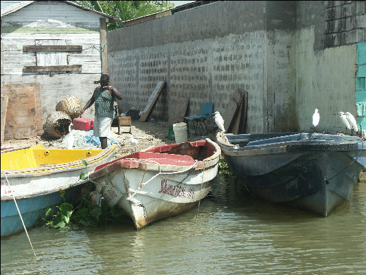 Pict7169 Fishing Boats And Waiting Birds Black River Jamaica