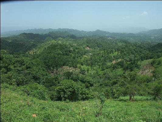 Pict7303 From Road To Accompong Jamaica