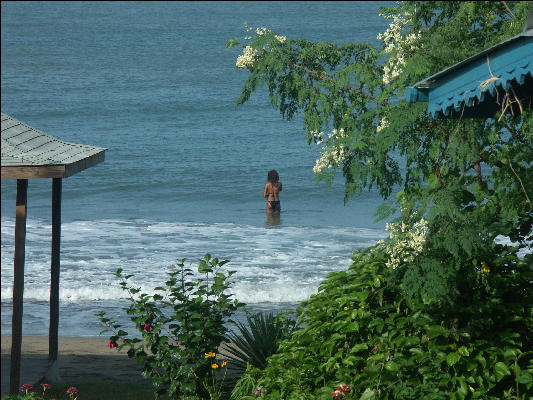 Pict7425 Bathing At Treasure Beach Jamaica