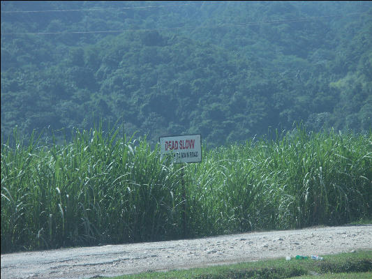 Pict7430 Sign Dead Slow Appleton Rum Jamaica