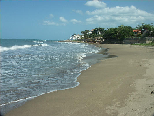 Pict7877 Treasure Beach Jamaica 