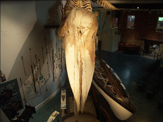 PICT5364 Whale Head Whaling Museum Nantucket 