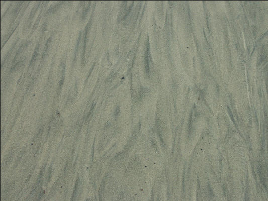 Pict1051 Patterns In Sand Newport Oregon