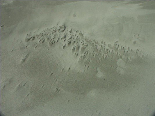 Pict1061 Patterns In Sand Newport Oregon