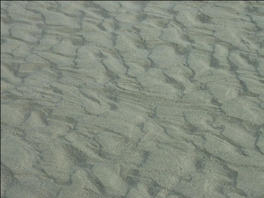 Pict1128 Patterns In Sand Newport Oregon