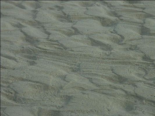 Pict1133 Patterns In Sand Newport Oregon