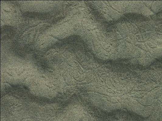 Pict1143 Patterns In Sand Newport Oregon