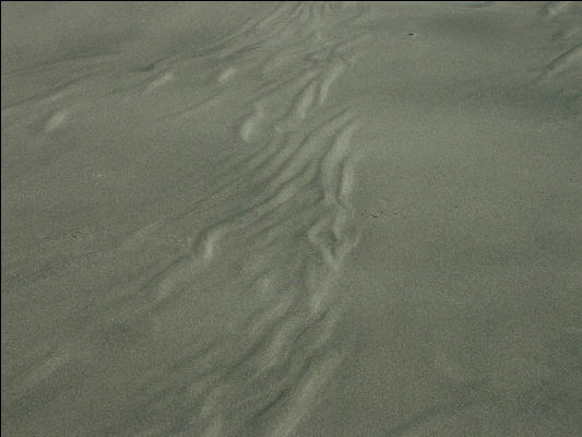 Pict1162 Patterns In Sand Newport Oregon