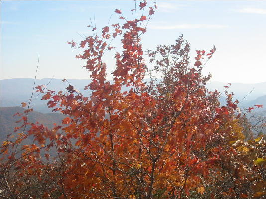 Douthat State Park