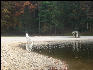 Beach, Douthat State Park