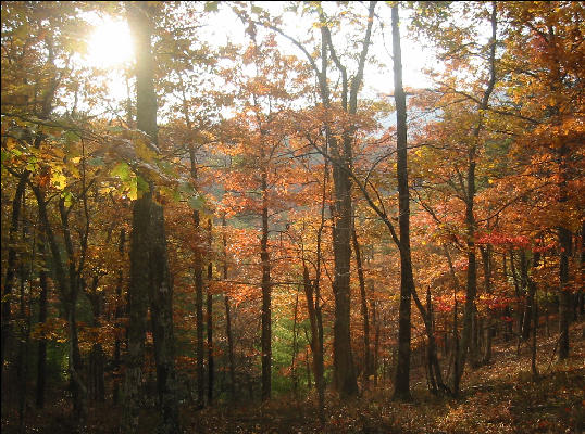 Douthat State Park