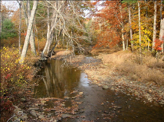 Wilson Creek, Douthat State Park