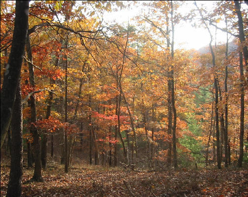 Douthat State Park