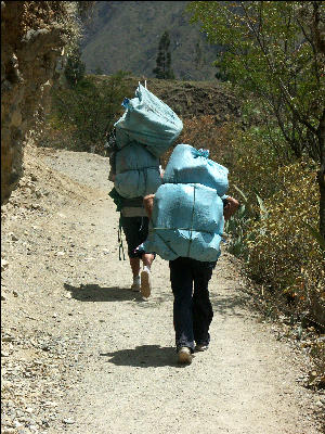 Porters on the Inca Trail