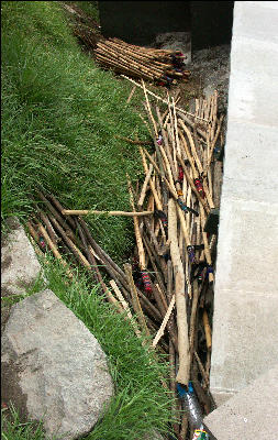 Discarded Bamboo Hiking Poles