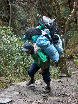 Porter on the Inca Trail