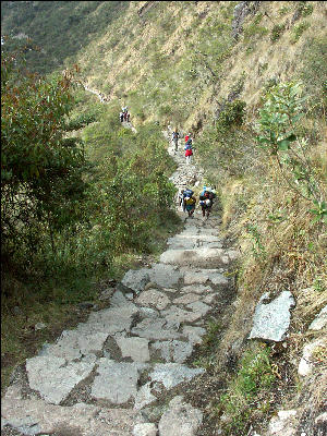 Climbing on the third day Inca Trail