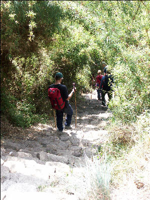 Downhill from Third Pass, Inca Trail