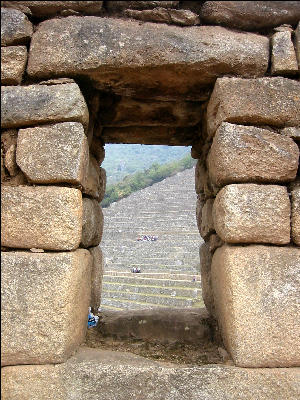 Window with Agricultural Sector