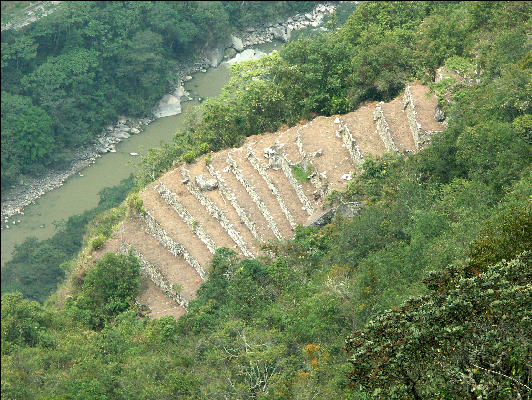 Terraces below Eastern Urban Sector