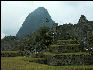 Bird and mountain