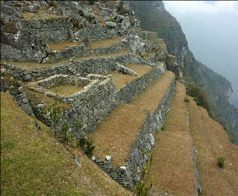 Terraces, Western Urban Sector