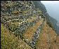 Terraces, Western Urban Sector