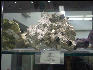 PICT0763 Pyrite Franklin Mineral Museum New Jersey