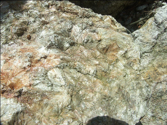 Pict4877 Pyrophyllite Occoneechee Mountain Hillsborough NC