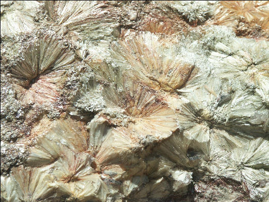 Pict4883 Pyrophyllite Closeup Occoneechee Mountain Hillsborough NC