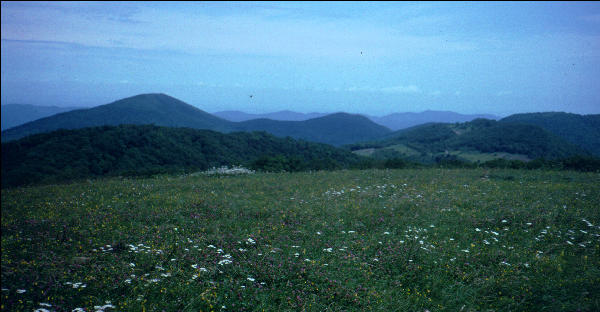 Max Patch, NC, AT