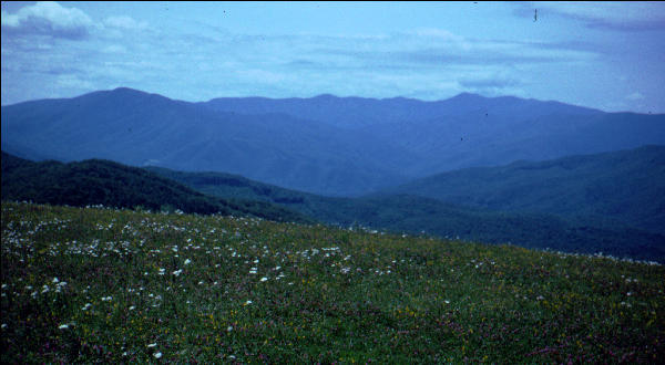 Max Patch, NC, AT