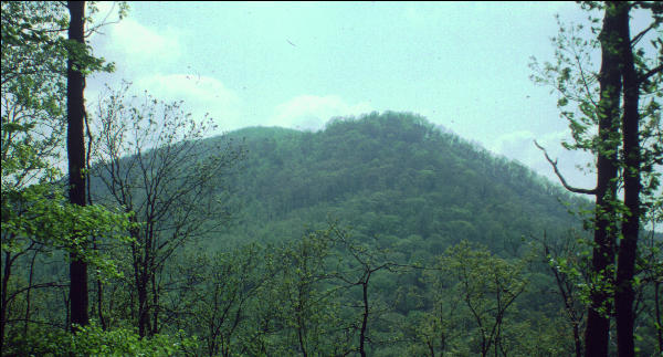 View of Springer Mountain,AT, GA