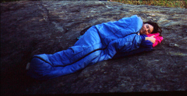 Asleep on a rock