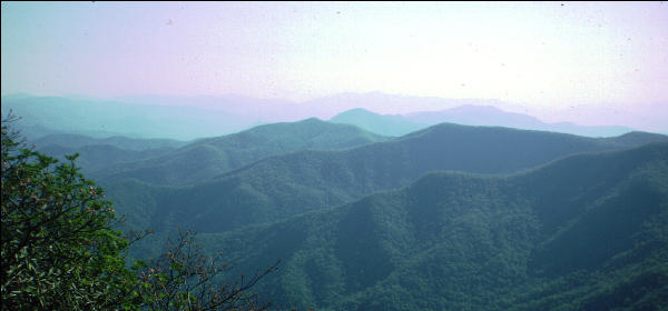 View from Standing Indian Mountain 
