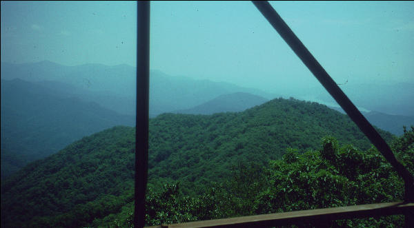 View from Firetower, Great Smokies, AT