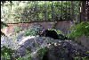 Wildlife in Bear Mountain Zoo, AT, New York