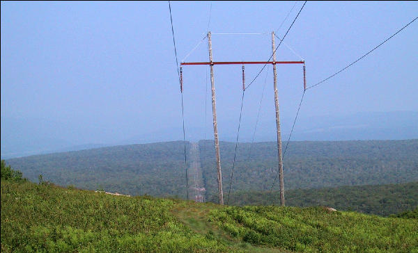 Electric Lines, Long Trail, Vermont