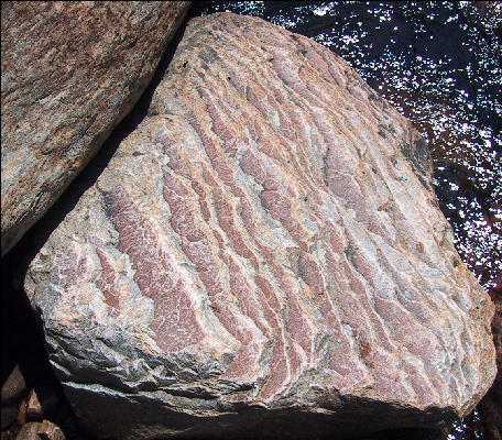Rock Texture, Long Trail, Vermont