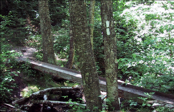 Bridge of Steel, Long Trail, Vermont